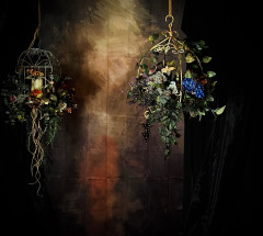 【新潟市内】Studio-Clan紅花&水鏡ブース
