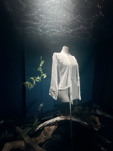 水面化ブースレンタル中